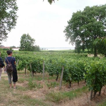 AFOCG 33 : Assemblée Générale à Villeneuve en toute convivialité.