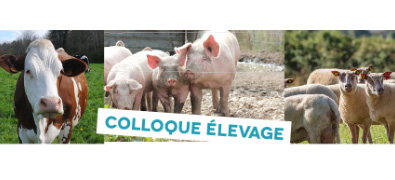 Colloque Elevage Bovins lait et viandes, porcs et ovins