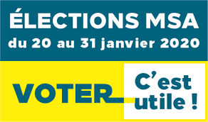 Élections MSA