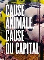 Cause animale … de quoi qu’on cause ?