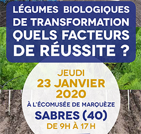 LÉGUMES BIOLOGIQUES DE TRANSFORMATION