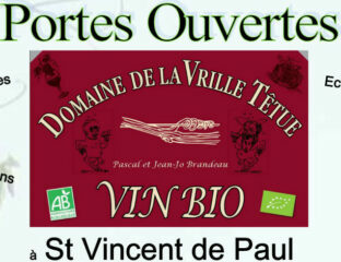 La Vrille Têtue … s’entête !