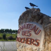 Autour de nos chais et aussi ailleurs !